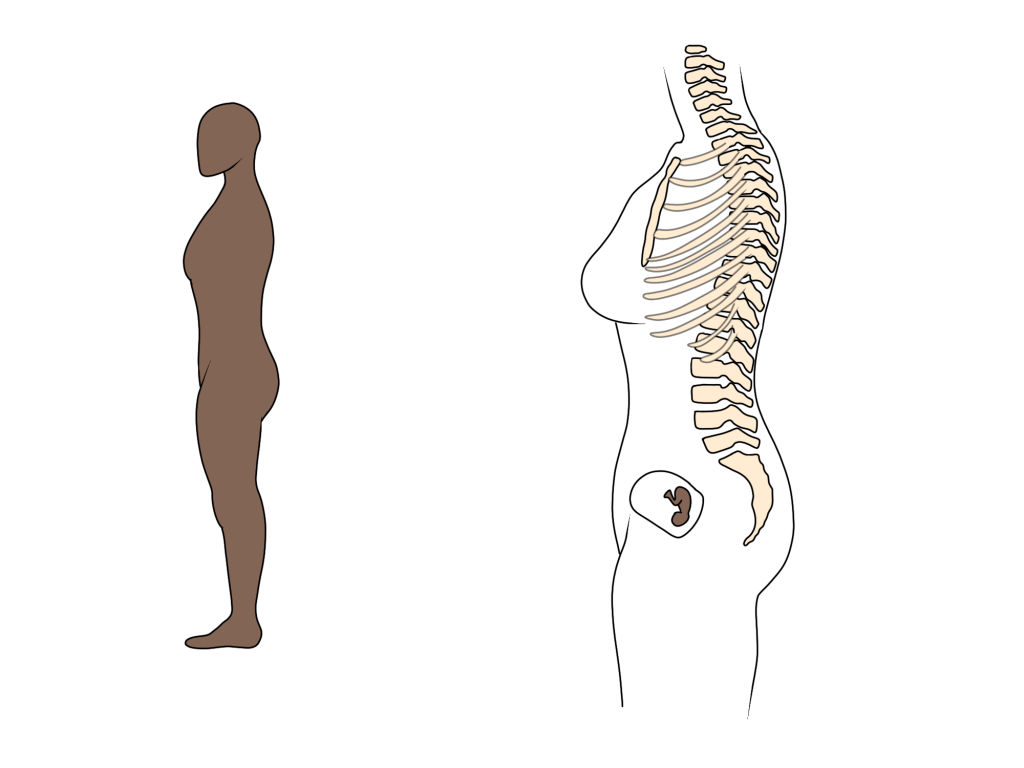 Osteopathy for pregnancy in the 1st trimester