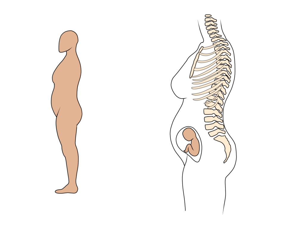 Osteopathy for pregnancy in the 2nd trimester