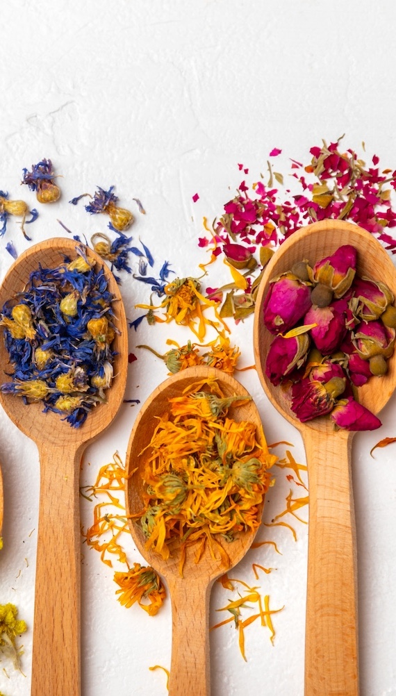 Herbal Medicine at The Olive Clinic